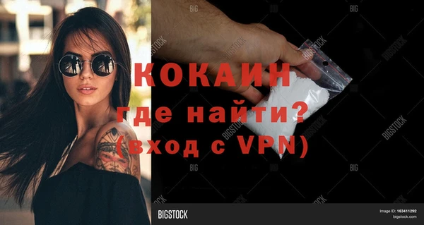PSILOCYBIN Липки