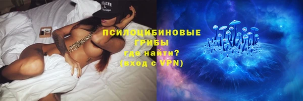 PSILOCYBIN Липки