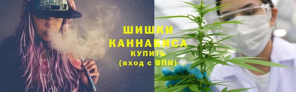 PSILOCYBIN Липки