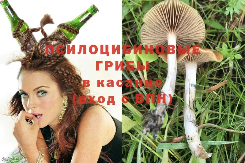 Псилоцибиновые грибы MAGIC MUSHROOMS  Емва 